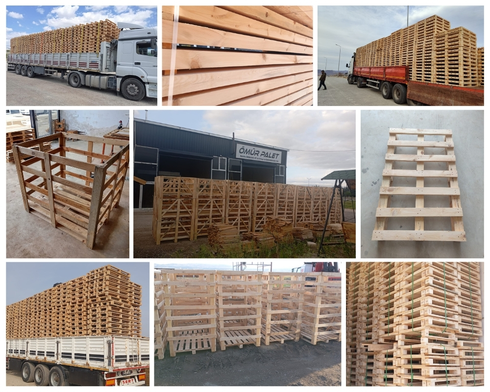 Dordrecht Houten Kisten, Europallets Groothandel Kopen
